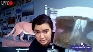Scat: a Poop Story (LIVE!) - Stuck at Home Science