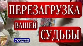 ✅ СТРЕЛЕЦ,♐️, НОЯБРЬ, 🔥ПЕРЕЗАГРУЗКА вашей СУДЬБЫ 💞❤️, Анна Зверева, таро, гороскоп, tarot,