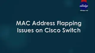 MAC Address Flapping Issue on Cisco Switch