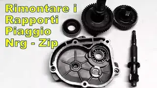 Rimonto rapporti Scooter Piaggio nrg - zip
