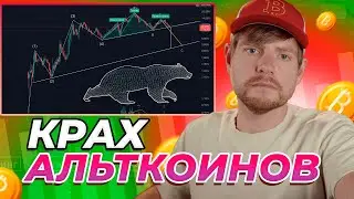 Альткоины Ждет Крах? Почему лучше выбрать Биткоин