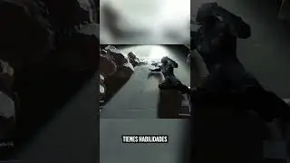 Si No Sabes Que Jugar en tu PS5