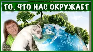5 июня День окружающей среды Праздник Каждый День Рита Некрасова