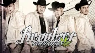 El Arbol De Mayo - Revolver Cannabis - ESTUDIO (2012-2013)