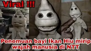 Penemuan Ikan Hiu Mirip Wajah Manusia VIRAL!!!