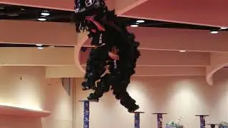 USDLDF 2nd Lion Dance Competition 2019 - Far East Dragon Lion Dance Association