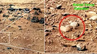 Uzayda Hayat Var Mı?