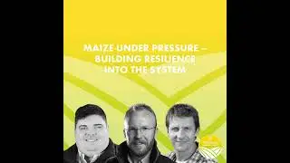Maize Under Pressure – Building Resilience into the System