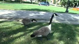Kitchener, Ontario