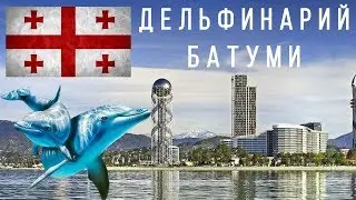 Поездка в Батуми, Дельфинарий, июнь 2018