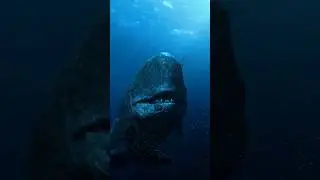 Melville's Leviathan 