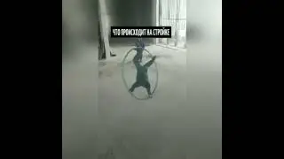 Он явно мечтал стать гимнастом, работает не там)