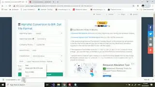 Convert Excel Alphalist to BIR .Dat File Format