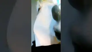 Unicorn man
