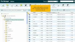 How To Use File Manager In cPanel