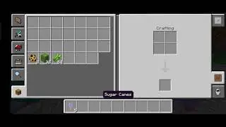 apple mc vote opening 