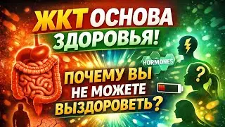 Почему здоровый ЖКТ является фундаментом здоровья