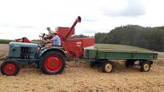 Oldtimerdreschen - Ernte mit Fahr und Eicher #dreschen #fahr #eicher