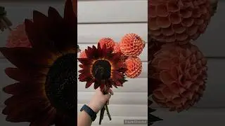 ФЕРМЕРСКИЕ ЦВЕТЫ георгины и подсолнух