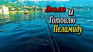 ПО ЧЕТЫРЕ ШТУКИ ЗА РАЗ. Рыбалка в Ялте. На Сапе в Море. Готовлю Котлеты из Пеламиды.