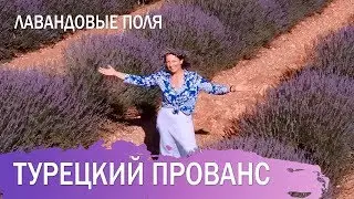 Полезная и прекрасная Турция. Лавандовые поля