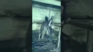 Баланы башынан, Малды жашынан үйрөт дейт 🤣👍🤣👍🤣👍🇰🇬🇰🇬🇰🇬🇰🇬