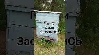 5 июля 2024 г.
