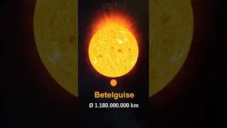 The Earth looks so small in the Universe ☠️ #space #planet
