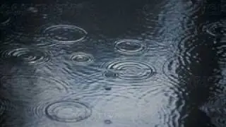 Rain On A Pond