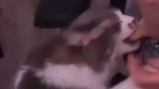 Alinity: The Rise of Milo