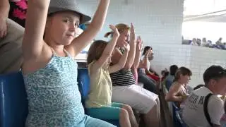 Наши детки в дельфинарии