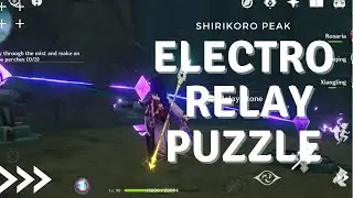 Eletro Relay Stone Puzzle Shirikoro Peak | Genshin Impact