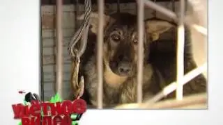 Улетное видео 282 выпуск