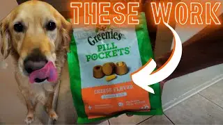 How I Sneak My Dog Medicine