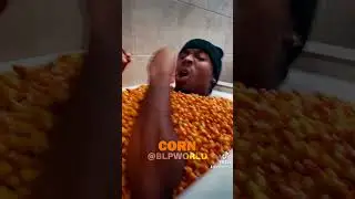 BLP Kosher- Wicked Miracle (Reference Video)