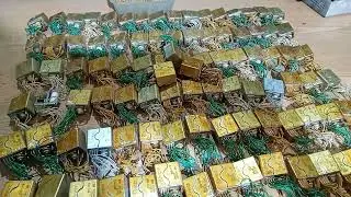 шок 37,6 грамма золота из 92 реле      рэсс 22