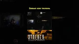 ЗАВЫЛ КАК ТЮЛЕНЬ 