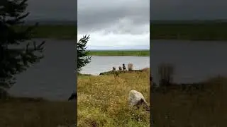 Радость в каждом моменте✨