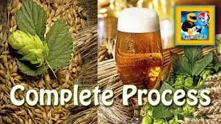 How to Brew Craft Beer at Home From Grain to Glass (Complete Process)