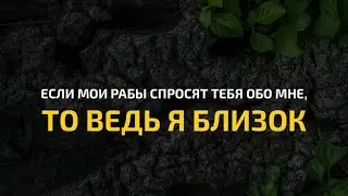 Ahmed Khedr | Сура Аль-Бакара (Корова) | Красивое чтение Корана