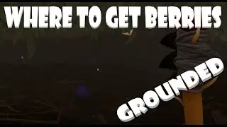 How to Get Berries for Berry Leather in Grounded
