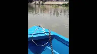 เรือพสาติก แรงสุดแล้ว