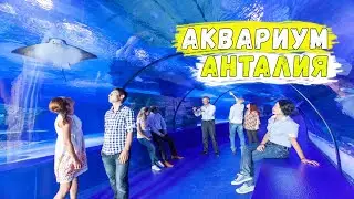 Holidays in Turkey 2020 / Antalya Aquarium / Kemer 2020