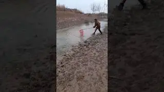 гаровти болик овлош
