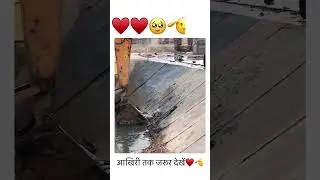 Respect ♥️🫡 | आखिरी तक जरूर देखें | #youtubeshorts #humanity #trending #cute