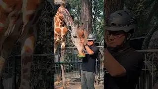 Anies Jenguk Julang di Ragunan. #AniesJalanJalan