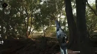 Hunt Showdown  Спарка и Апперкот