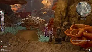 How to get the Bulette in your Camp in Baldurs Gate 3