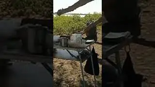 бахтемир