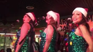 Tom Kenny & The Hi-Seas Damsels & Friends🌴🎄